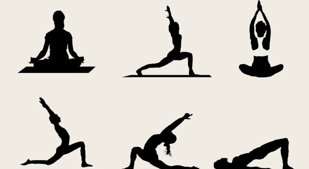 Sequencing Approach in Prana Vinyasa